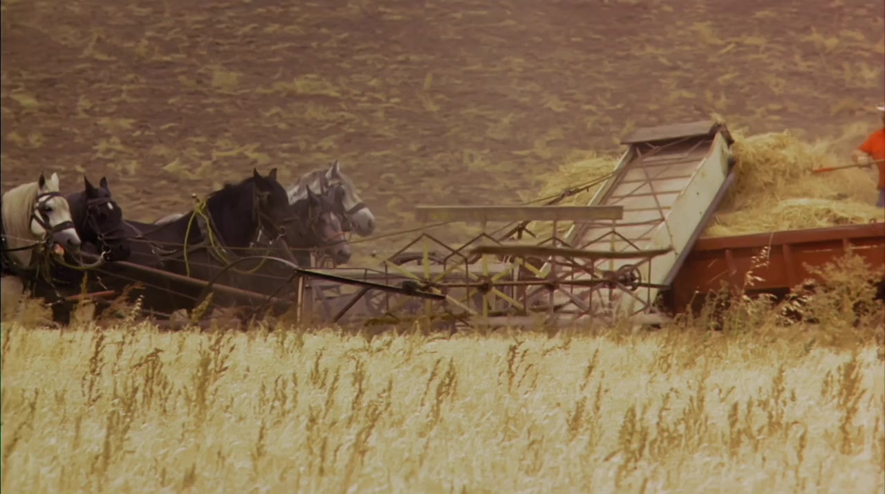 The Basket screenshot 2