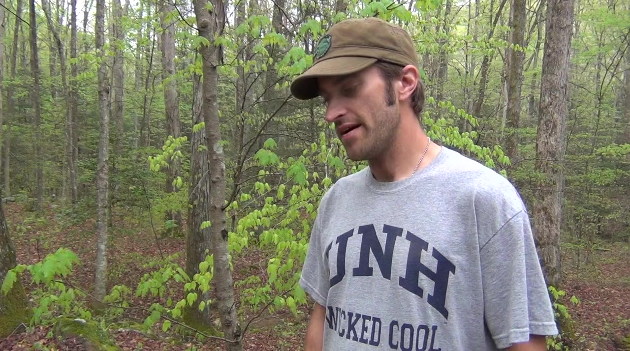 The Barkley Marathons: The Race That Eats Its Young screenshot 1