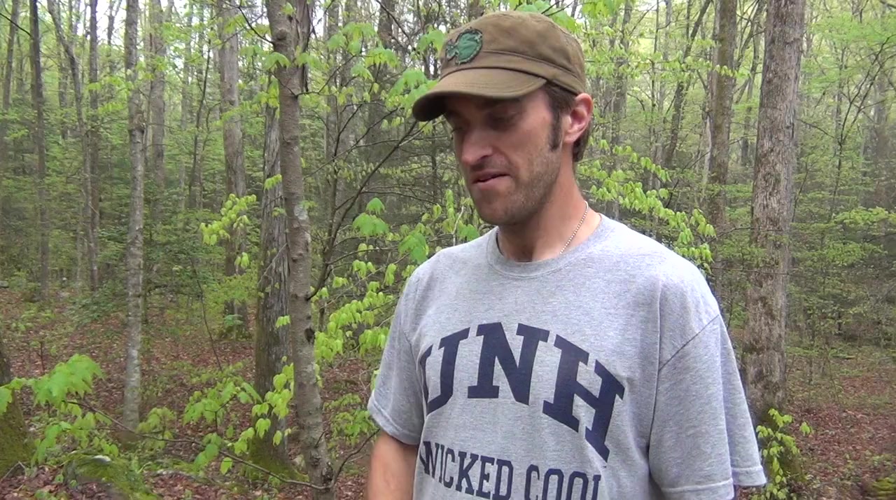 The Barkley Marathons: The Race That Eats Its Young screenshot 3