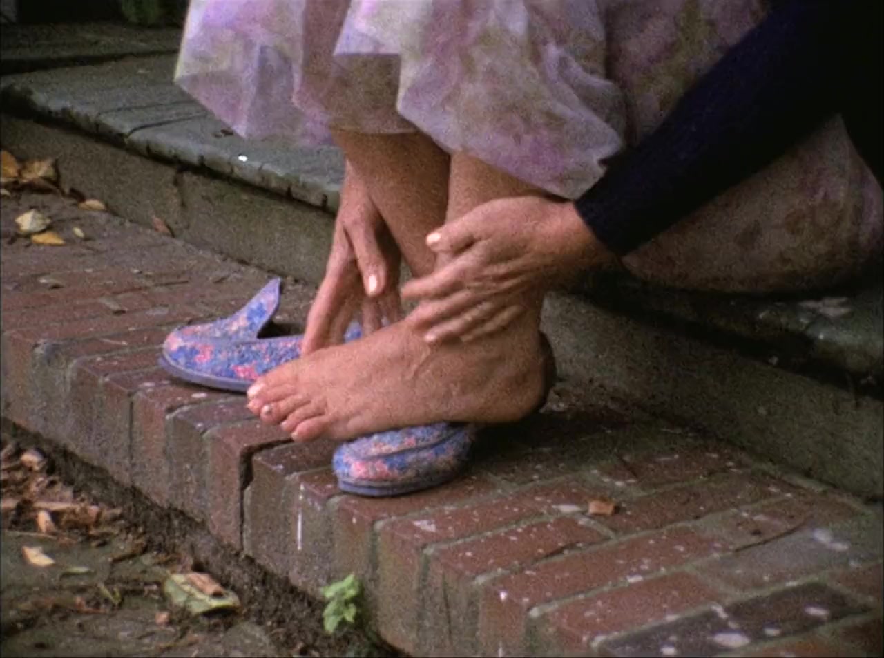 The Beales of Grey Gardens screenshot 1
