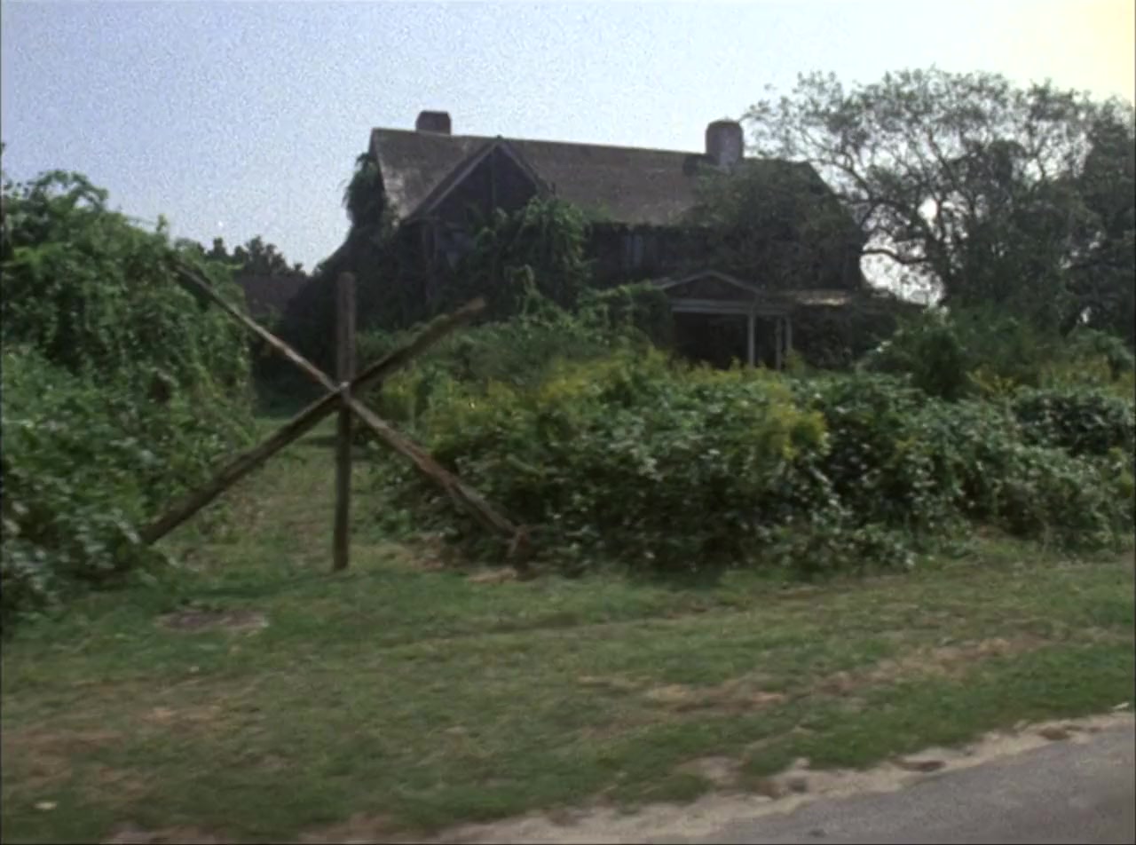 The Beales of Grey Gardens screenshot 3