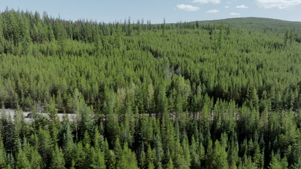 The Bear Lake Murders screenshot 1