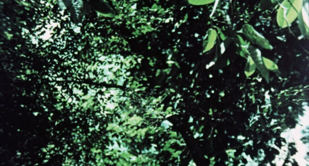 Beast of the Yellow Night screenshot 1