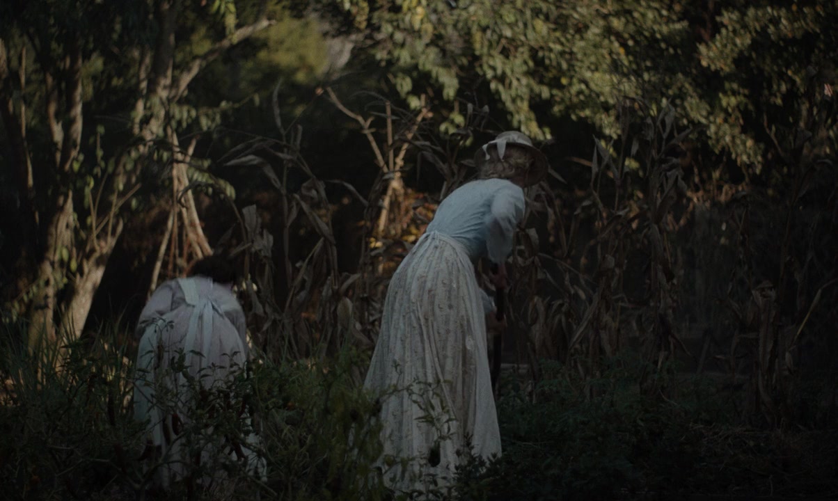 The Beguiled screenshot 2