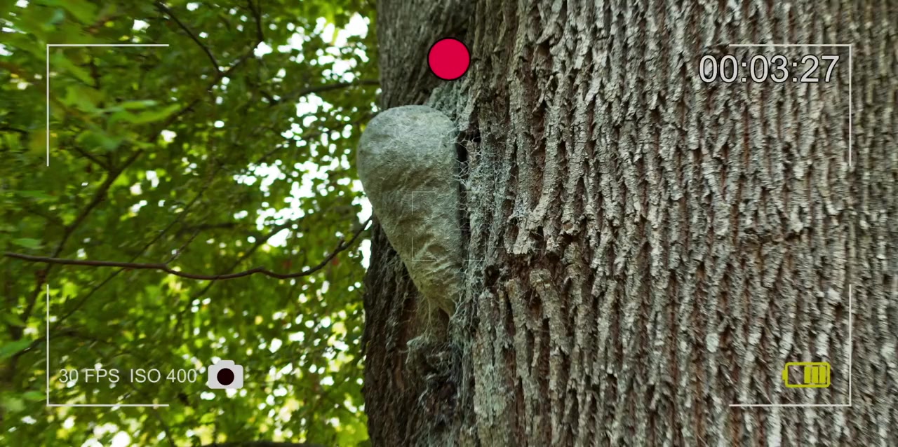 The Beehive screenshot 2