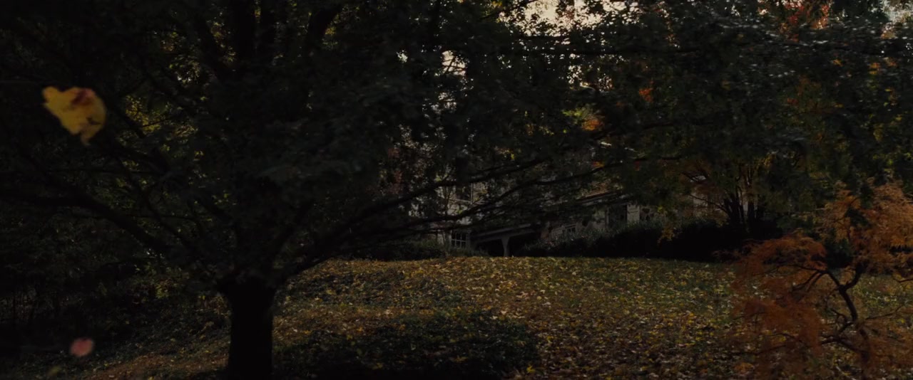 The Benefactor screenshot 2