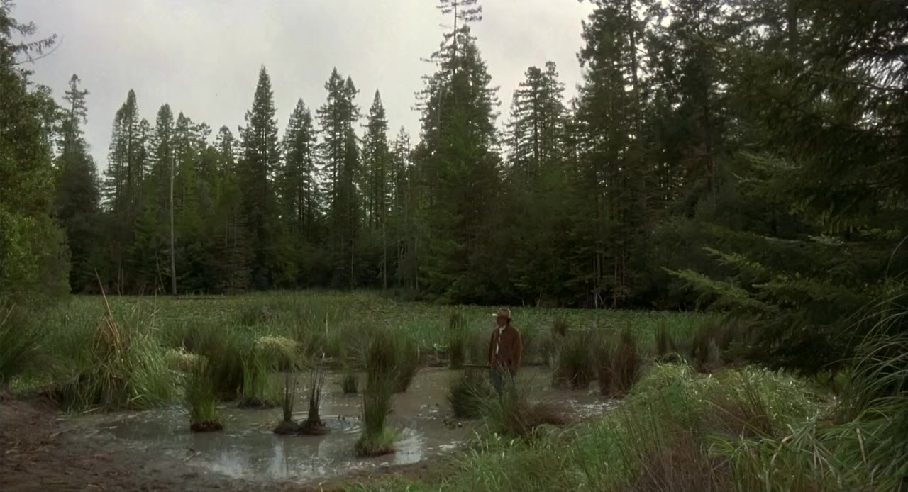 The Beverly Hillbillies screenshot 2