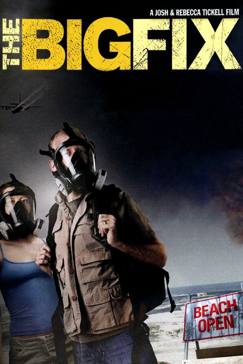 The Big Fix (2012) poster