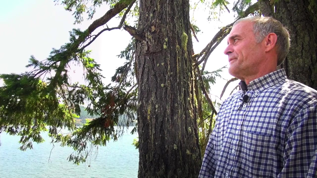 The Bigfoot Alien Connection Revealed screenshot 1