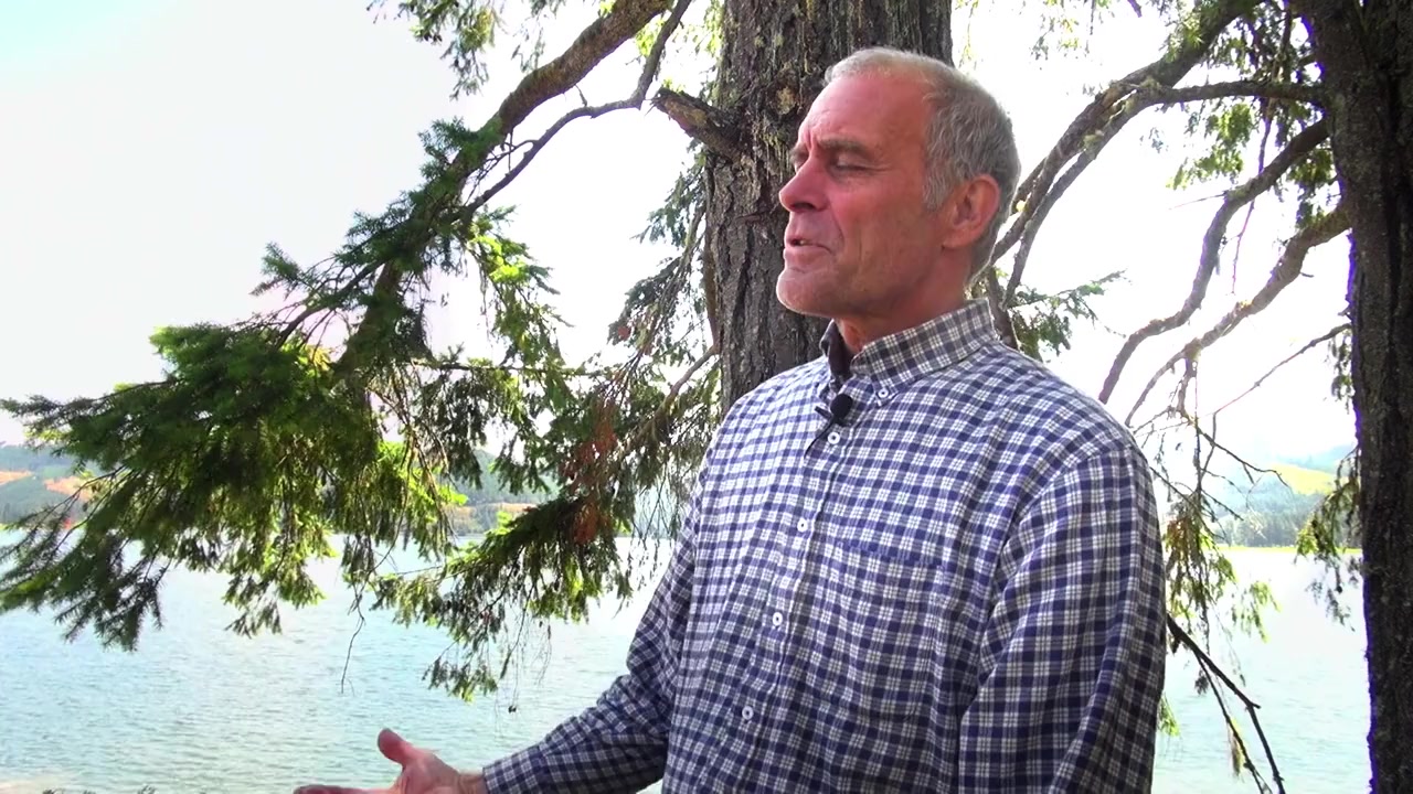 The Bigfoot Alien Connection Revealed screenshot 2