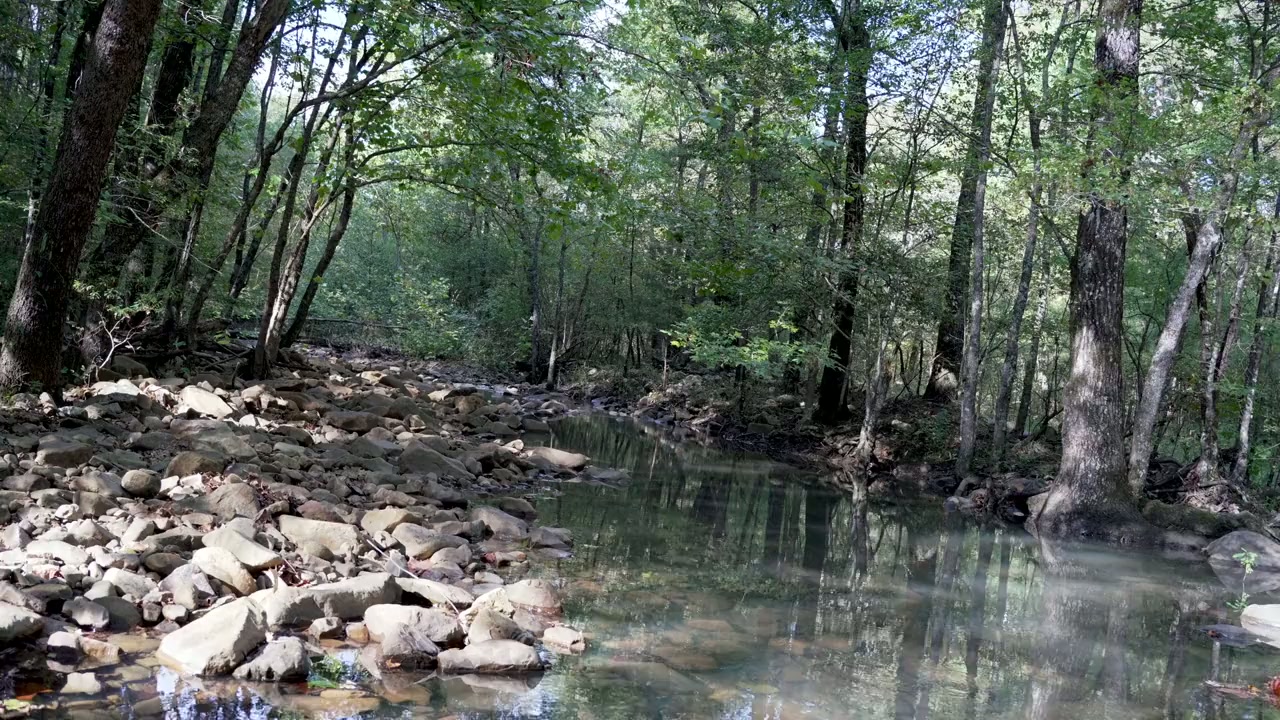 The Bigfoot Prophecy screenshot 2