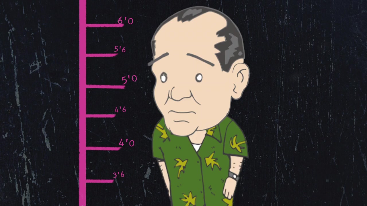 The Bill Murray Experience screenshot 2