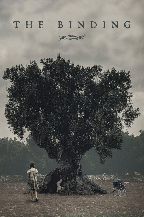 Il legame (2020) poster