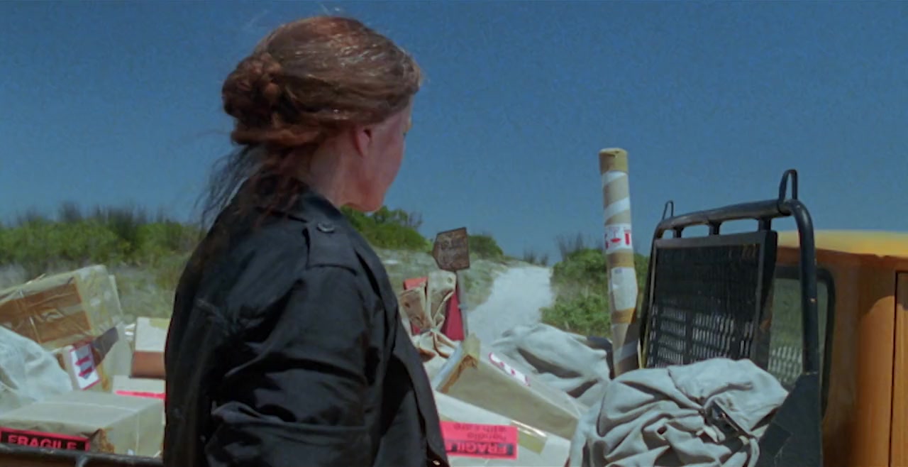 The Bird Can't Fly screenshot 2