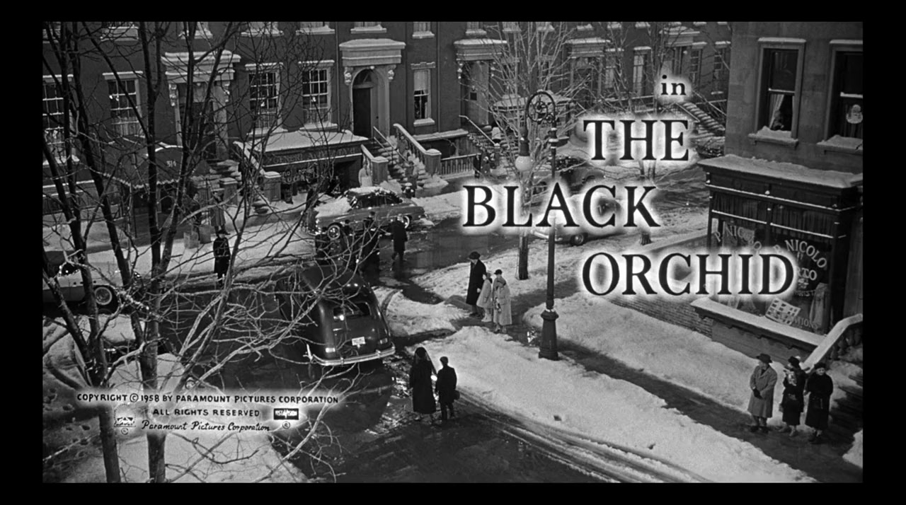 The Black Orchid screenshot 1