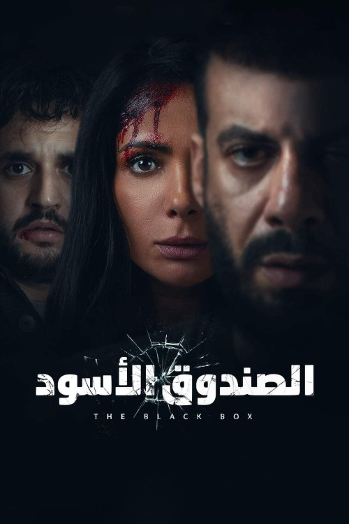El-Sandooq el-Aswad (2020) poster