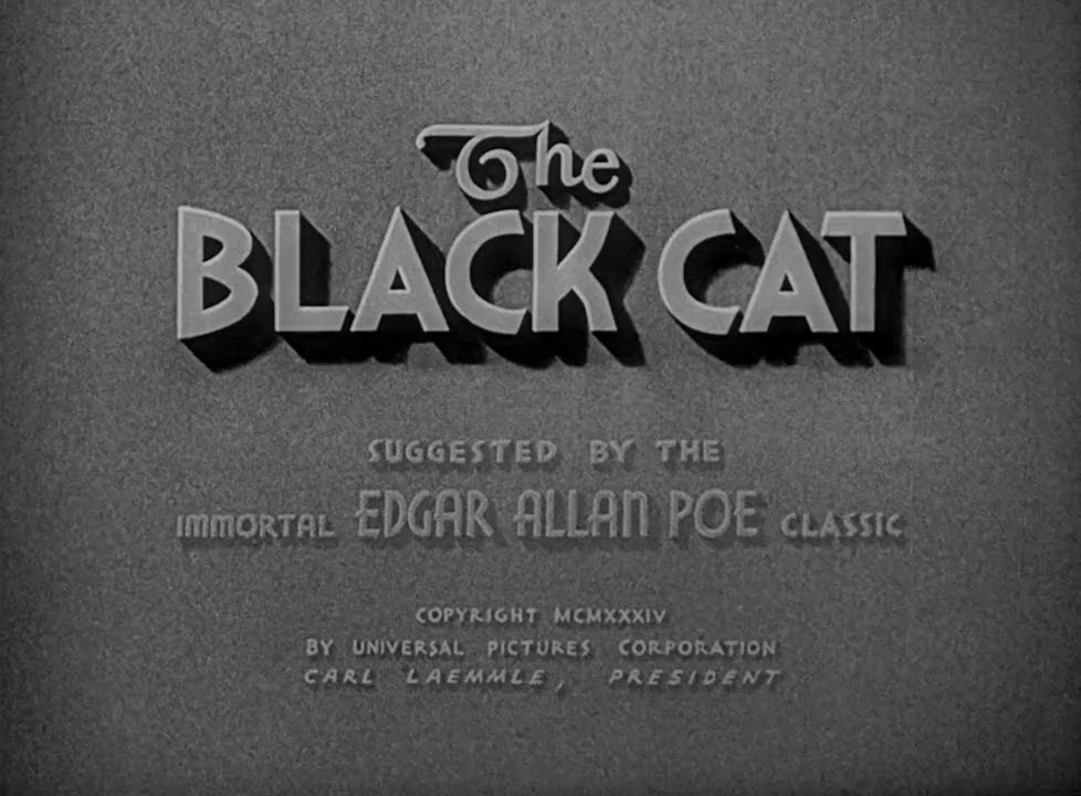The Black Cat screenshot 1