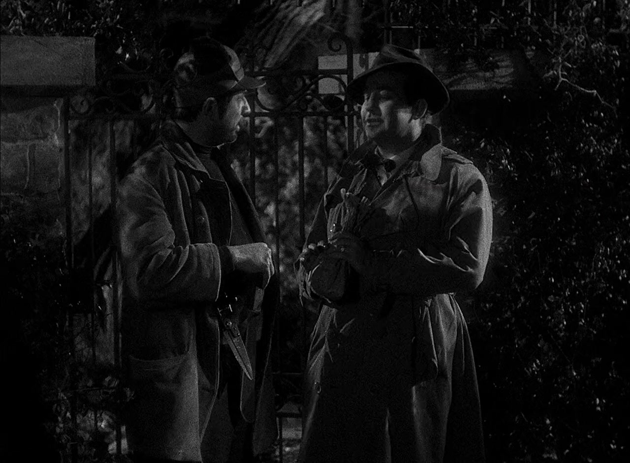 The Black Cat screenshot 1