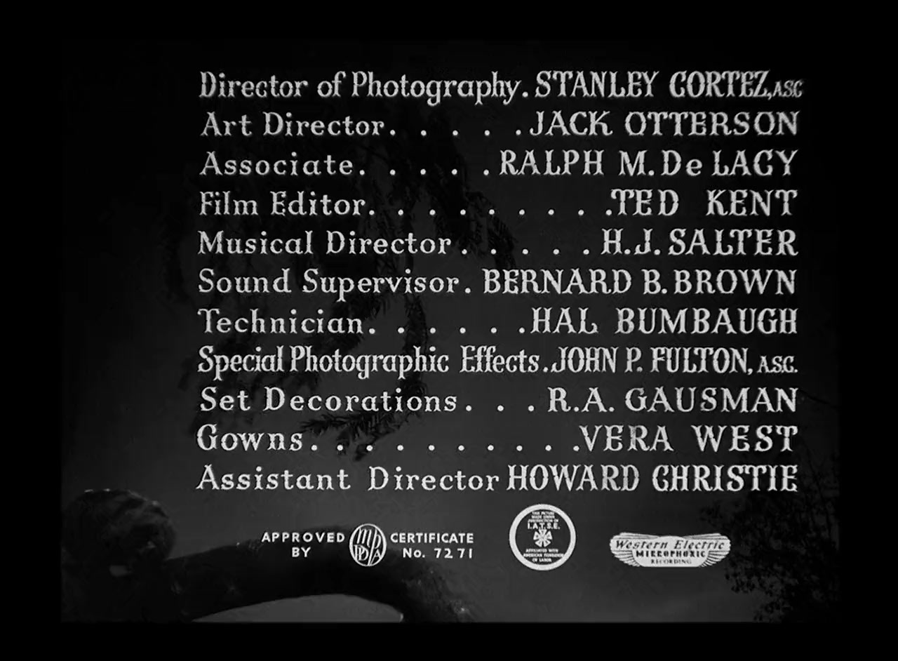The Black Cat screenshot 2