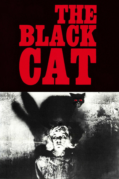 The Black Cat (1966) poster