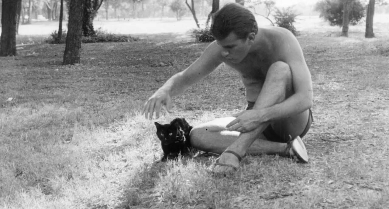 The Black Cat screenshot 1