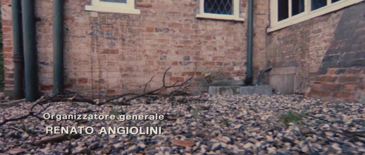 Gatto nero screenshot 3