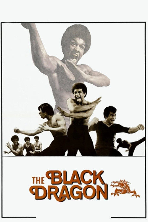 Xia nan yang (1974) poster