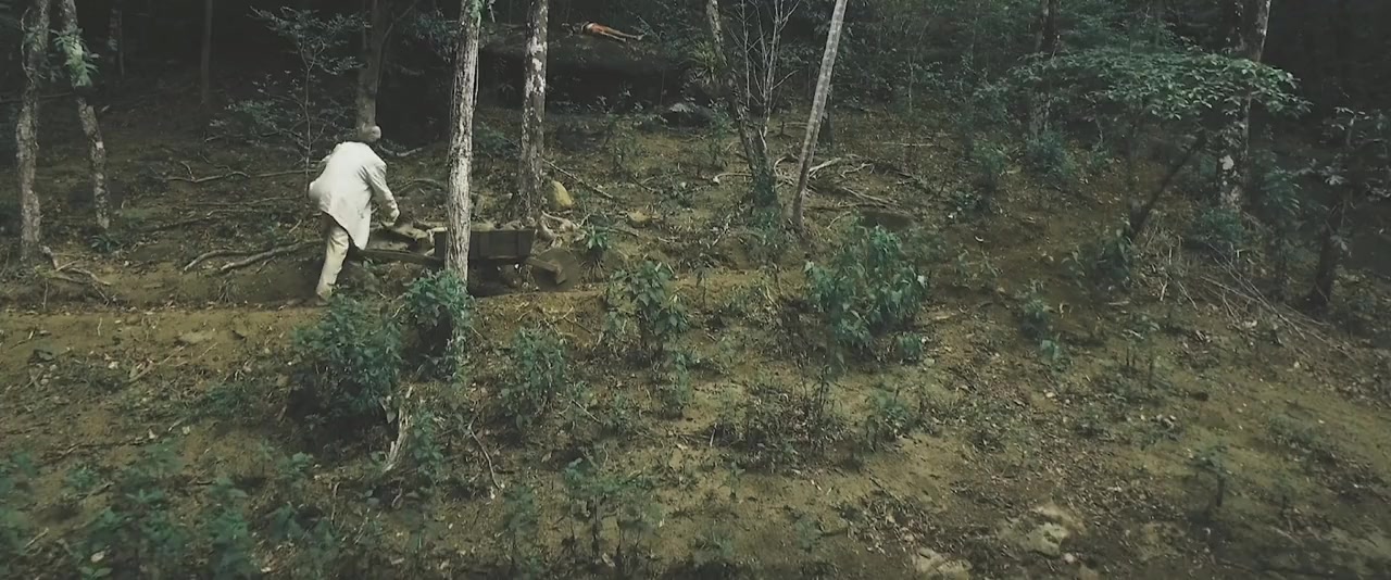 El bosque negro screenshot 1