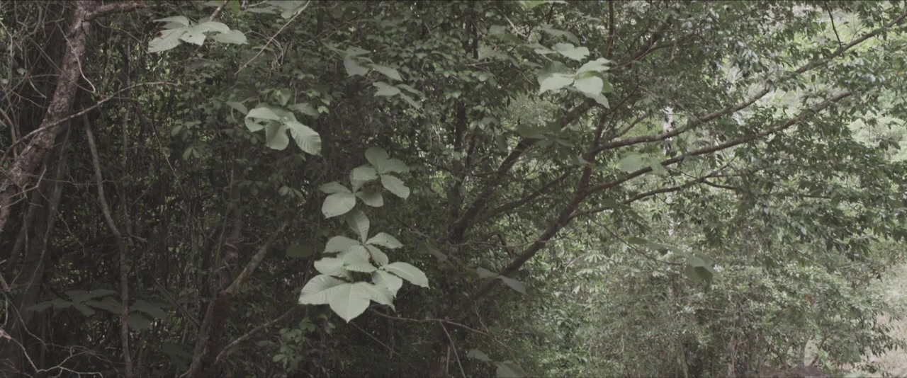 El bosque negro screenshot 2
