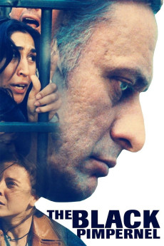 Den Sorte Pimpernel (2007) poster