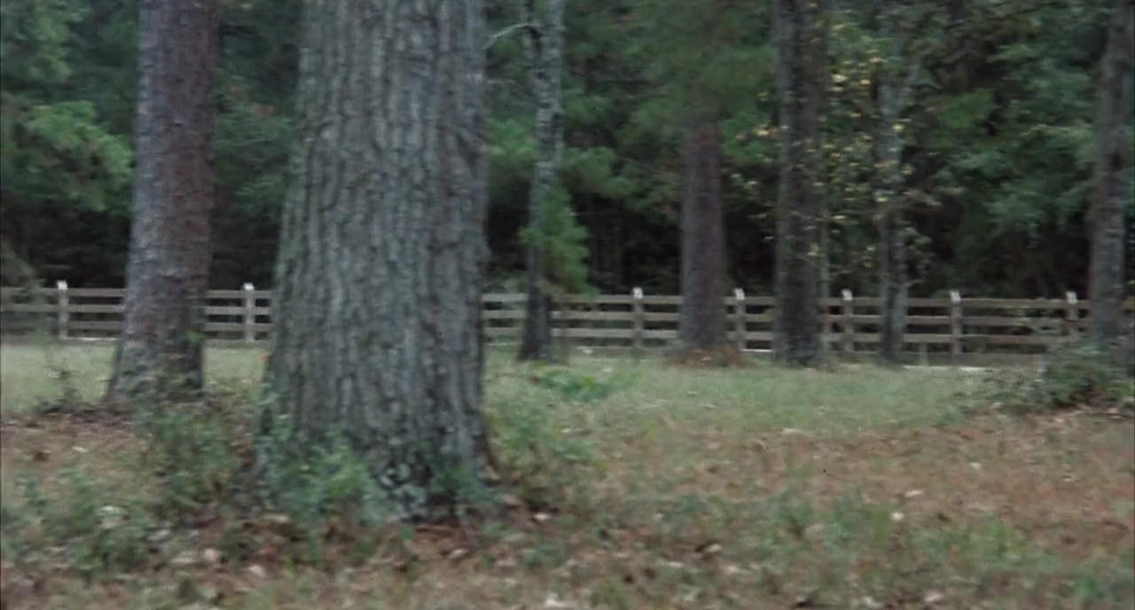 The Black Stallion Returns screenshot 2