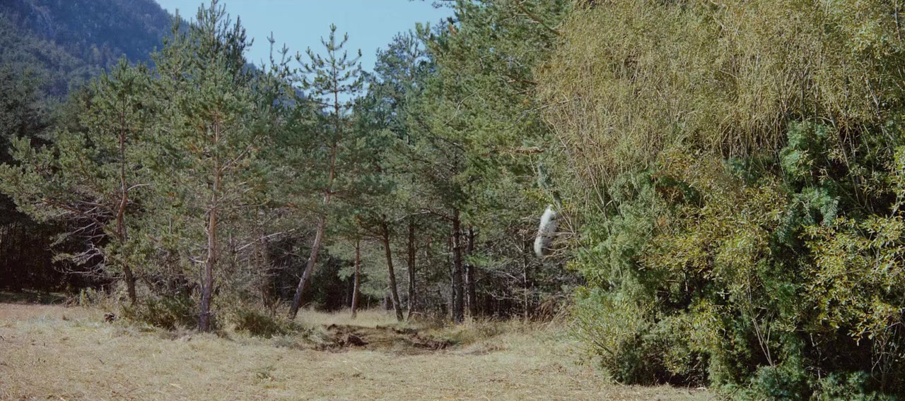 La Tulipe noire screenshot 1
