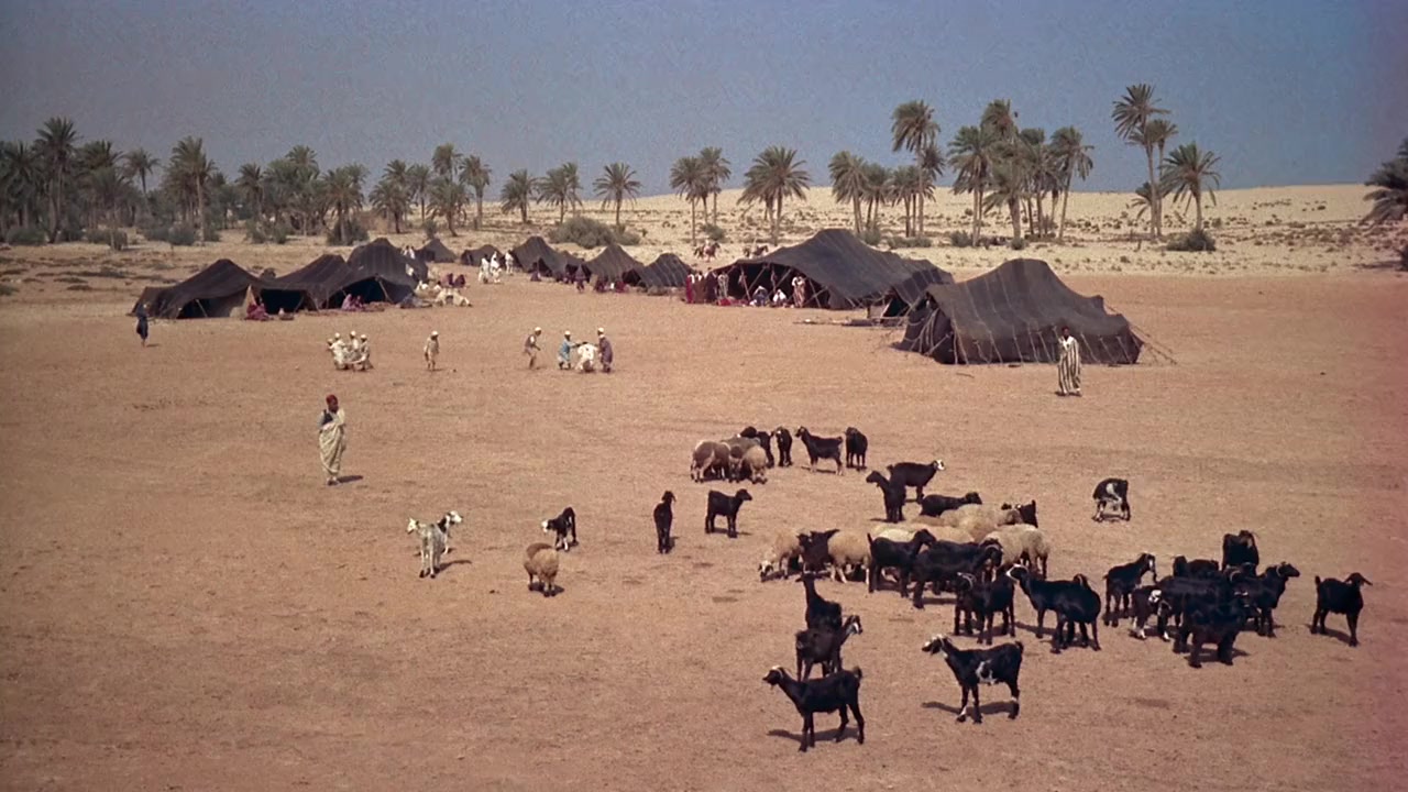 The Black Tent screenshot 1