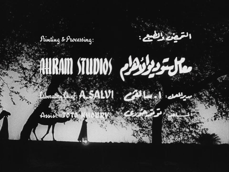 Siraa Fil-Wadi screenshot 3