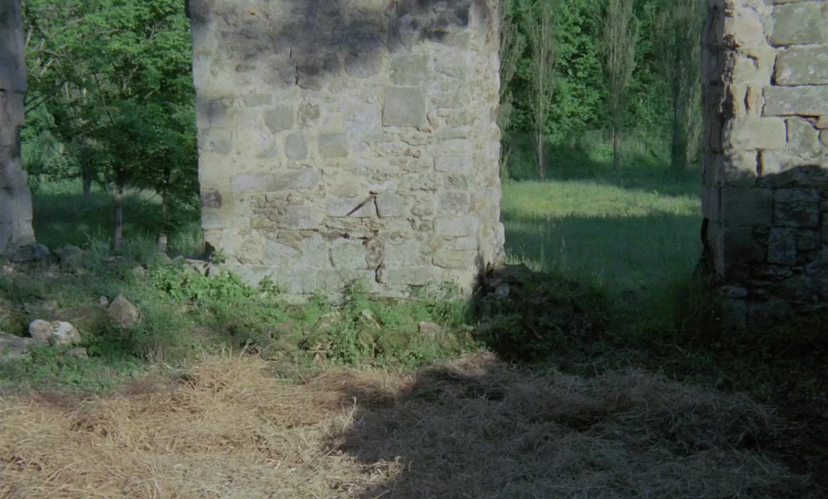 La rose écorchée screenshot 1
