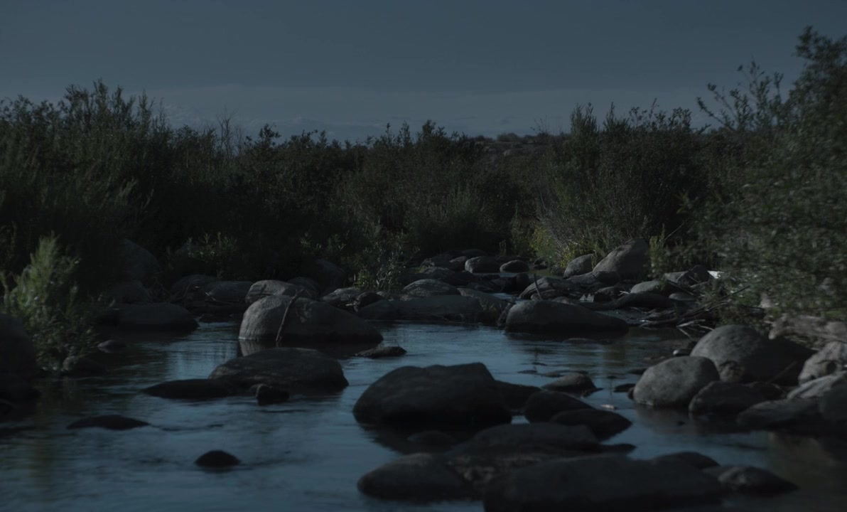 The Bloodhound screenshot 1