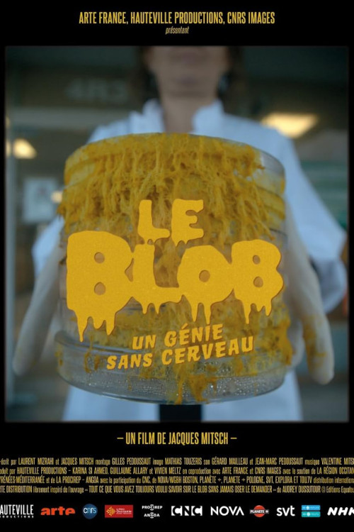 Le Blob, un génie sans cerveau (2019) poster
