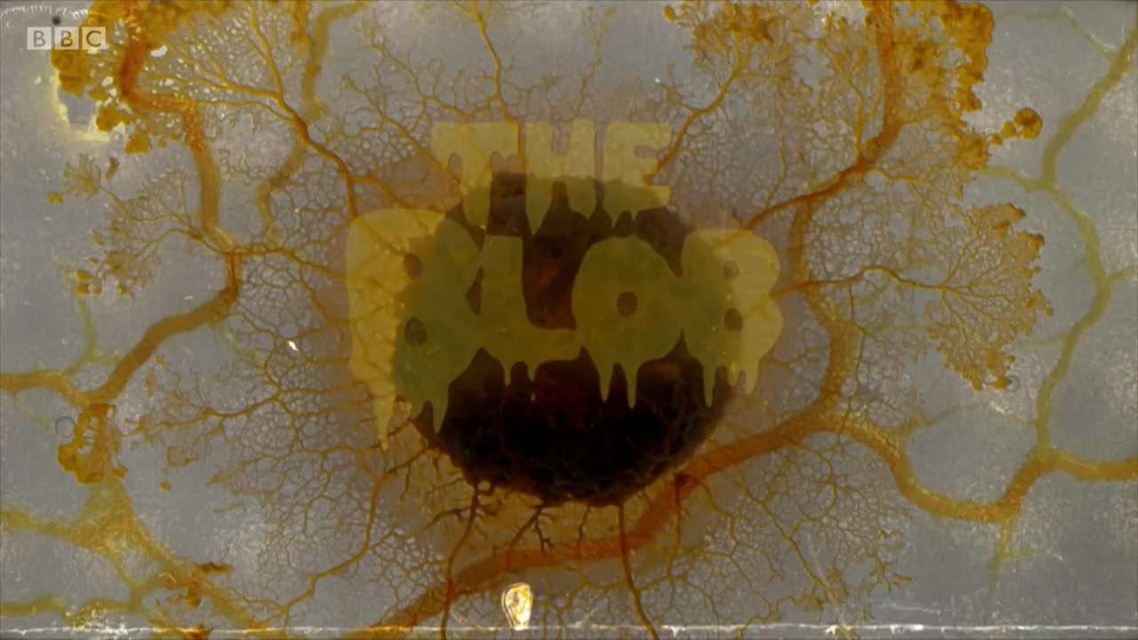 Le Blob, un génie sans cerveau screenshot 3