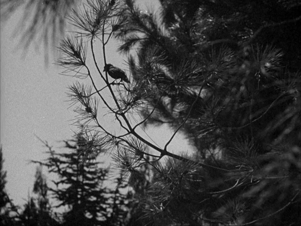 The Blue Bird screenshot 3