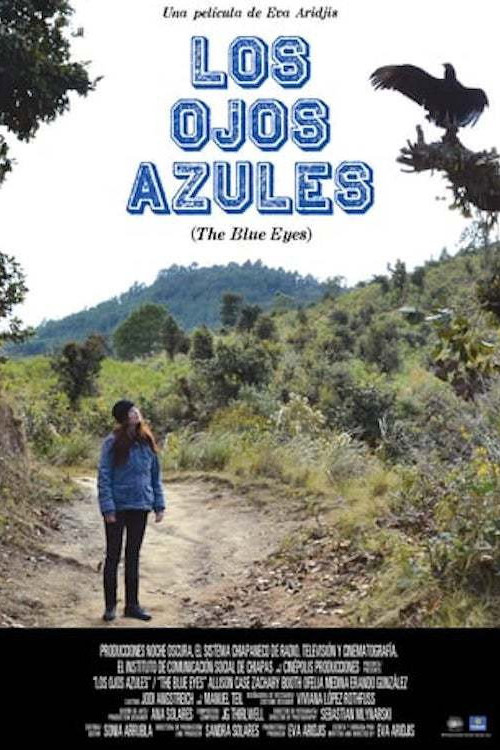 The Blue Eyes (2012) poster
