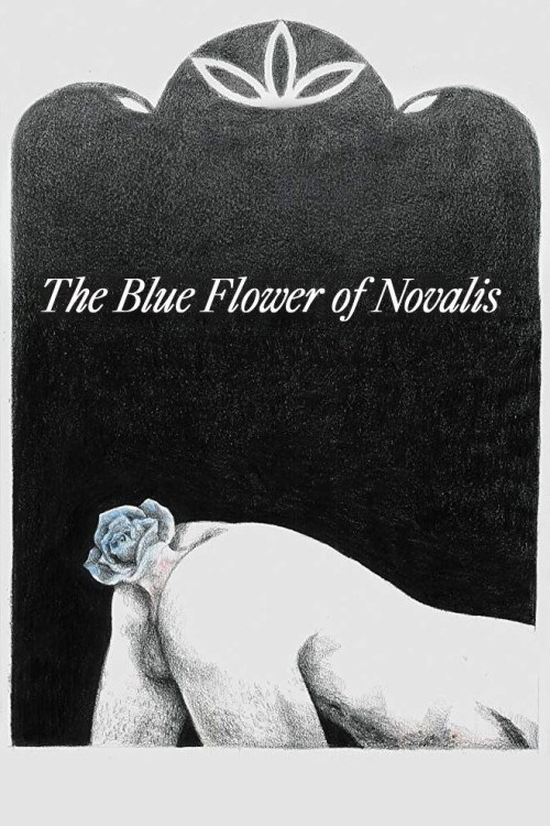 A Rosa Azul de Novalis (2018) poster