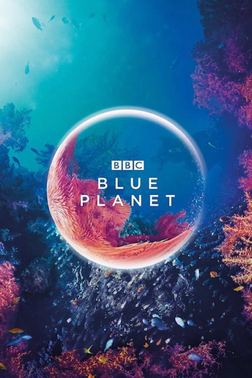 The Blue Planet (2001) poster