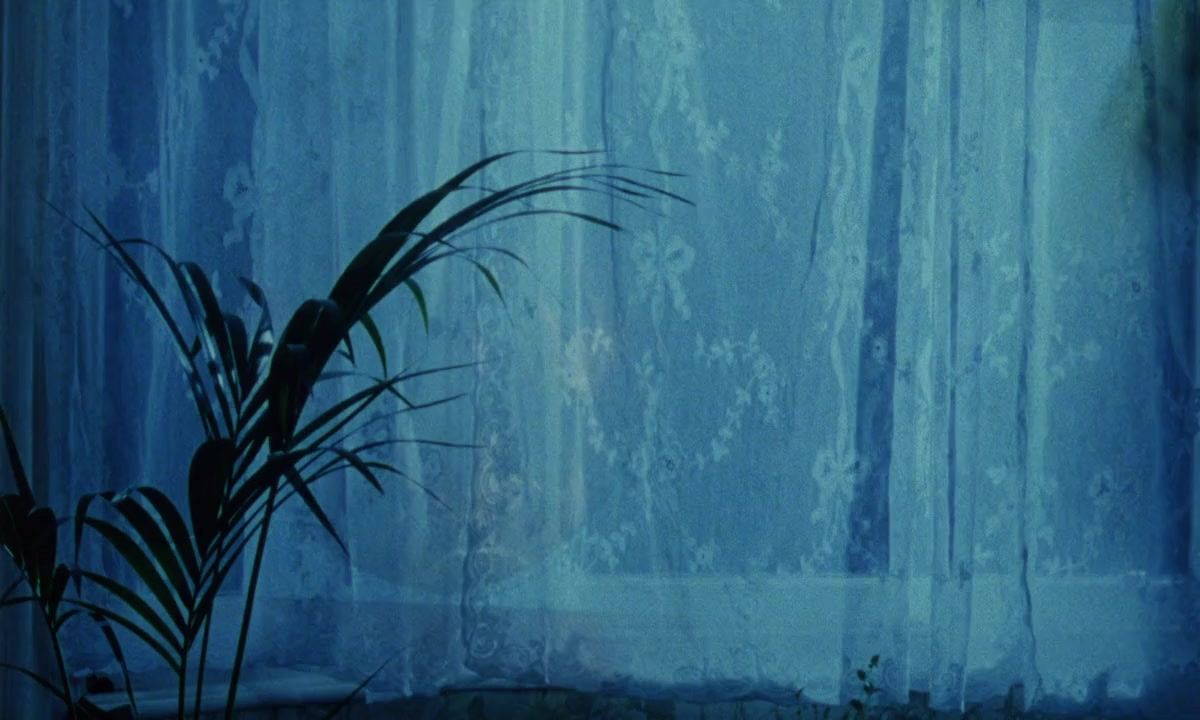 The Body Beautiful screenshot 2