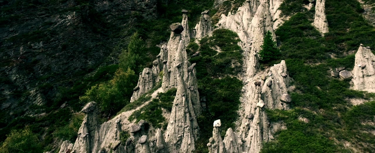 The Body Tree screenshot 1