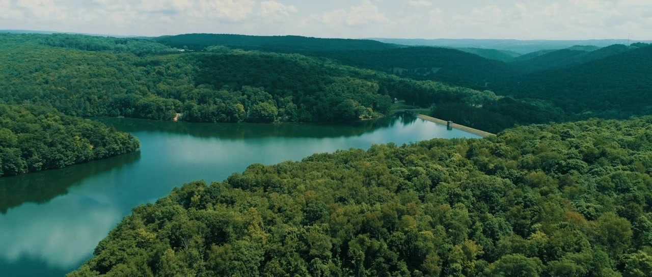 The Boonies screenshot 1