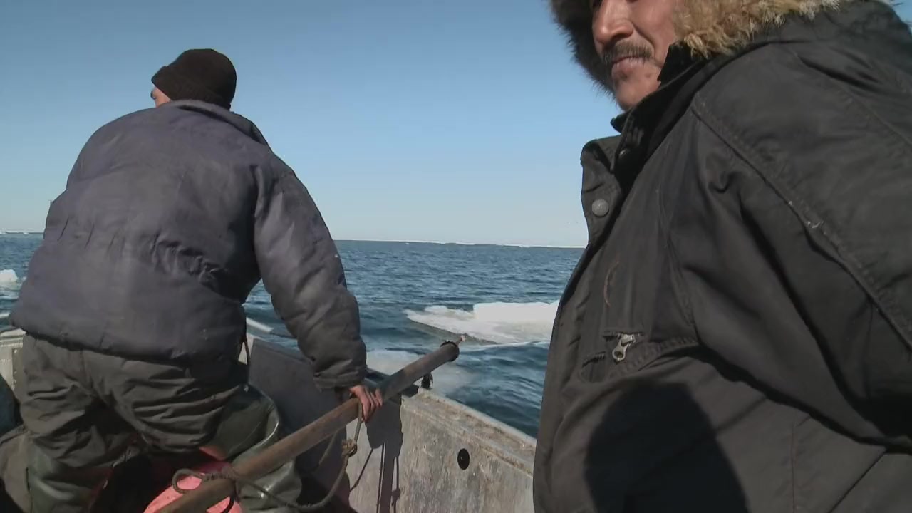 The Book of the Sea screenshot 3