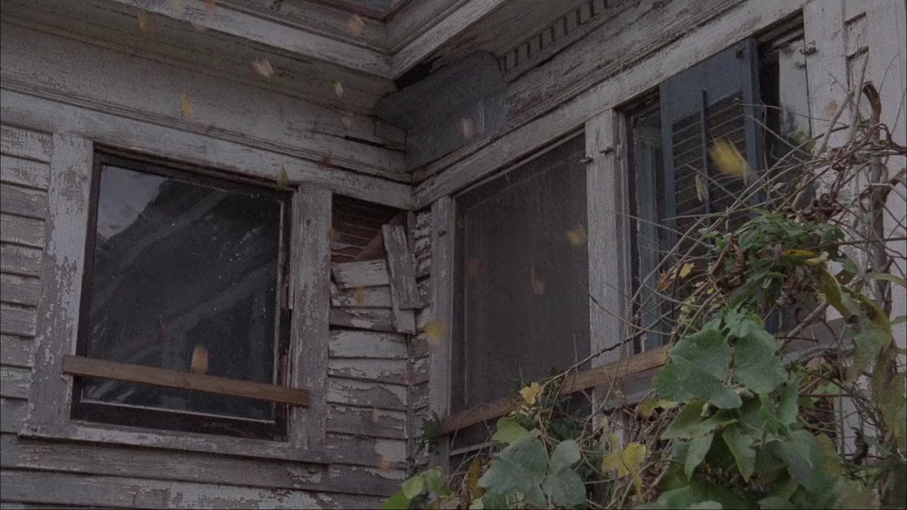 The Boneyard screenshot 2