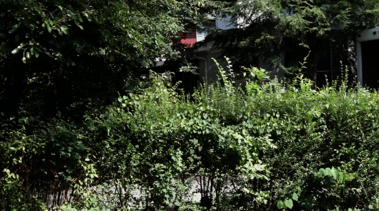 The Bone Garden screenshot 1