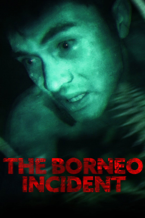 The Borneo Incident (2013) poster