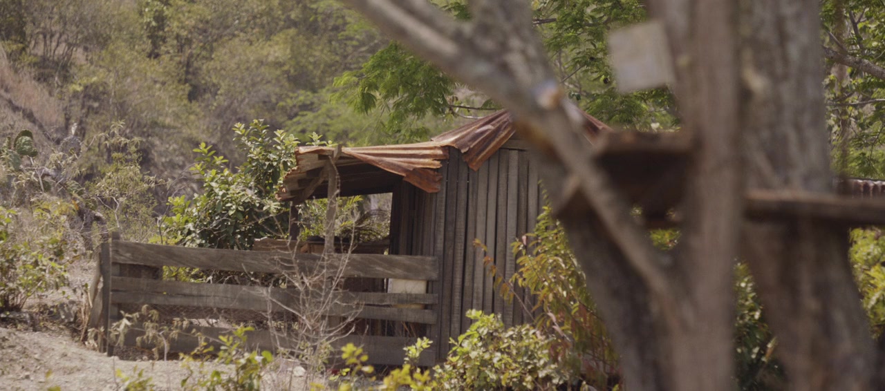 The Boy screenshot 1